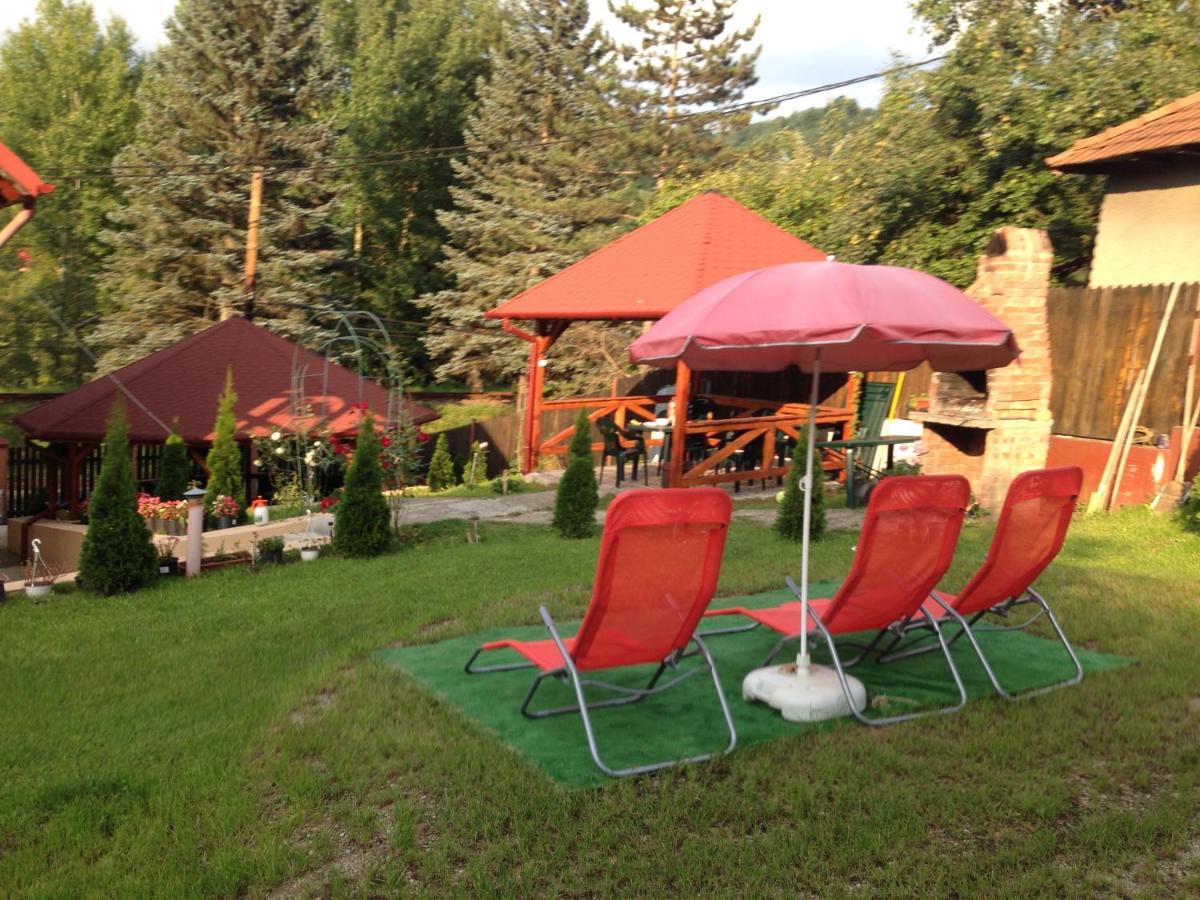 Casa Galbena Inn Slanic