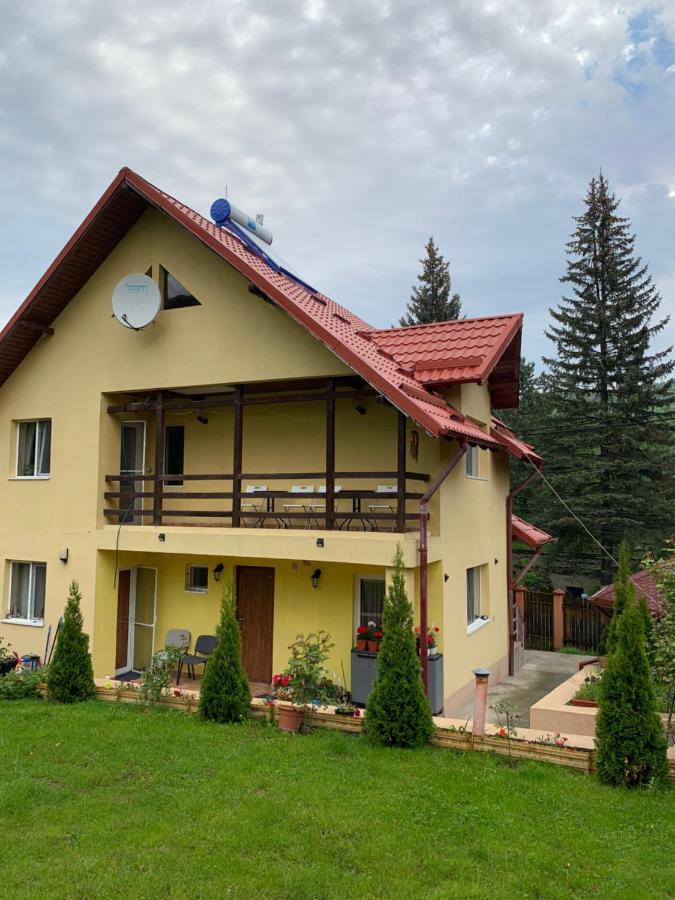Casa Galbena Slanic